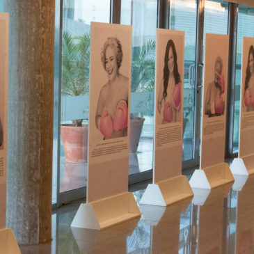 Retratos de mulheres que venceram o câncer de mama ficam expostos na CLDF