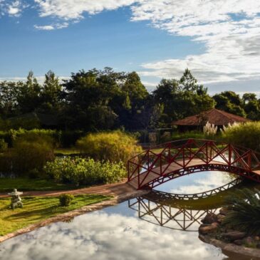 Jardim Botânico de Brasília libera acessos e autoriza ensaios fotográficos
