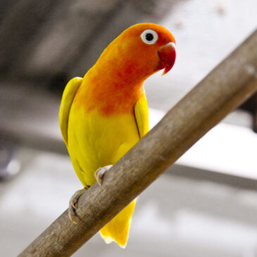 Funcionários de UBS em boa companhia