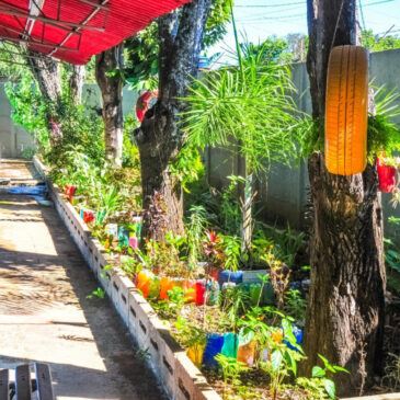 Curso Escola da Terra oferece 120 vagas