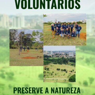 Conheça o “Bosque dos Voluntários”, em Águas Claras