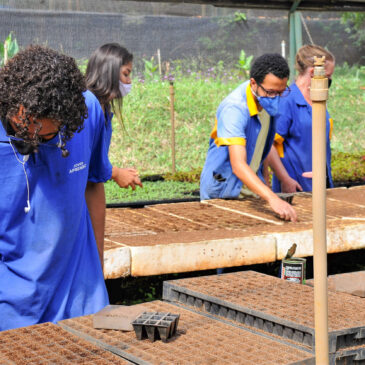 Jovens aprendizes atuam nos viveiros da Novacap