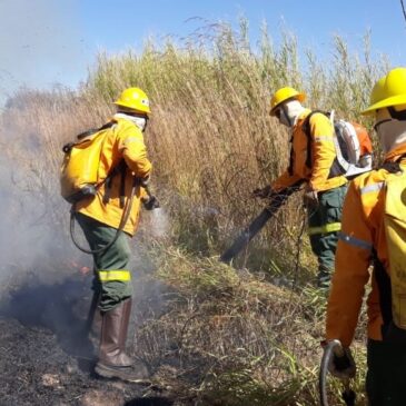 Olha a seca! Cuidado com a queima de lixo e poda de árvores