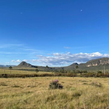 Vivência artística na Chapada dos Veadeiros