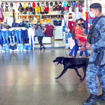Policiamento com cães, o diferencial no combate às drogas