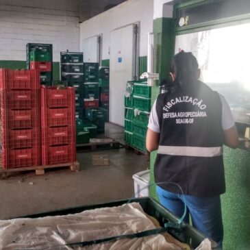 Ação educativa envolve distribuidores de frutas na Ceasa