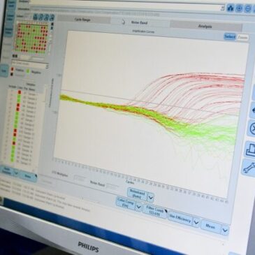 Divulgação de boletins só em dias úteis não prejudica análise de dados