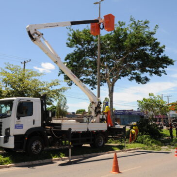 Após mapeadas, 230 árvores são podadas em Santa Maria