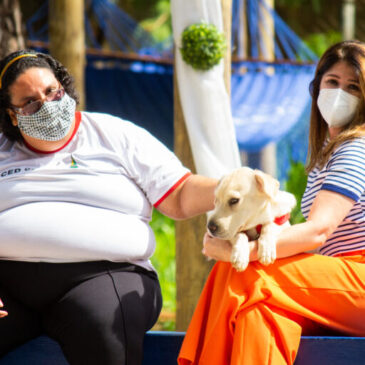 Cãoterapia, uma ideia bem-sucedida contra a ansiedade na escola