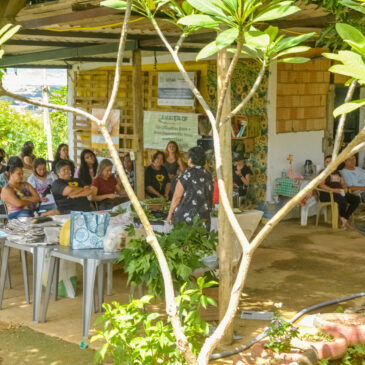 Horta comunitária tem cursos sobre alimentação saudável e de baixo custo