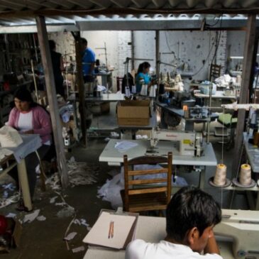 Empresa flagrada com trabalho escravo poderá ser cassada do cadastro de contribuinte