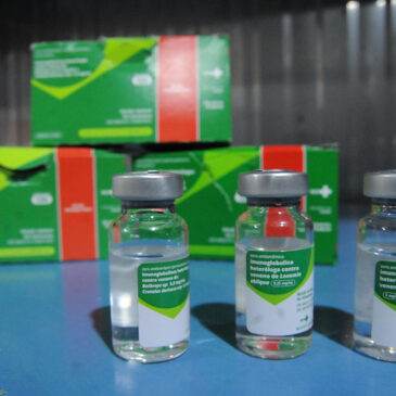 Cuidado! Animais peçonhentos picaram 3,3 mil no DF