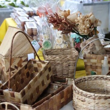 Feira no Parque da Cidade tem edição dedicada às mães