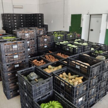 Governo investe R$ 1 milhão na compra de produtos da agricultura familiar