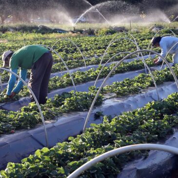 Leandro Grass defende incentivos a programas da agricultura familiar