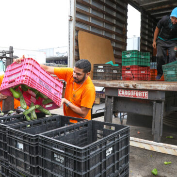 Alimentos doados pela Ceasa geram quase 640 mil refeições