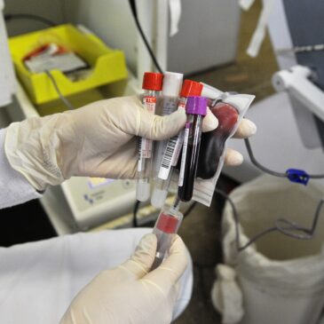 Tudo pronto para a Semana Nacional do Doador Voluntário de Sangue