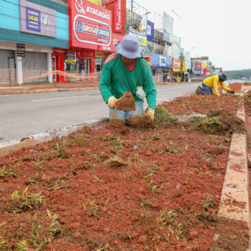 Começa plantio de grama nos canteiros do boulevard do Túnel de Taguatinga