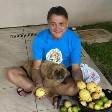 Dia dos Animais: PL de João Cardoso obriga pet shops, clínicas veterinárias e hospitais veterinários a denunciarem maus tratos