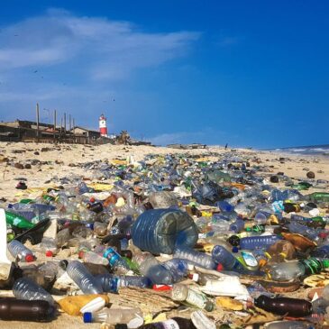 MMA cria Comissão Nacional de Incentivo à Reciclagem